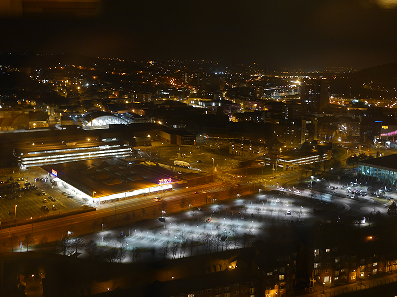 Grape and Olive View of Swansea Bay