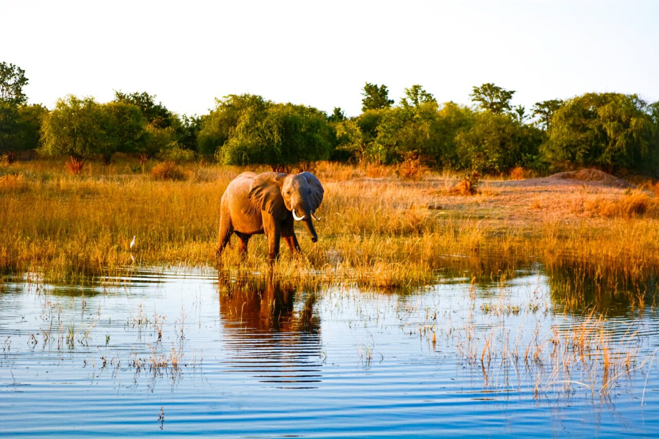 Zimbabwe Africa