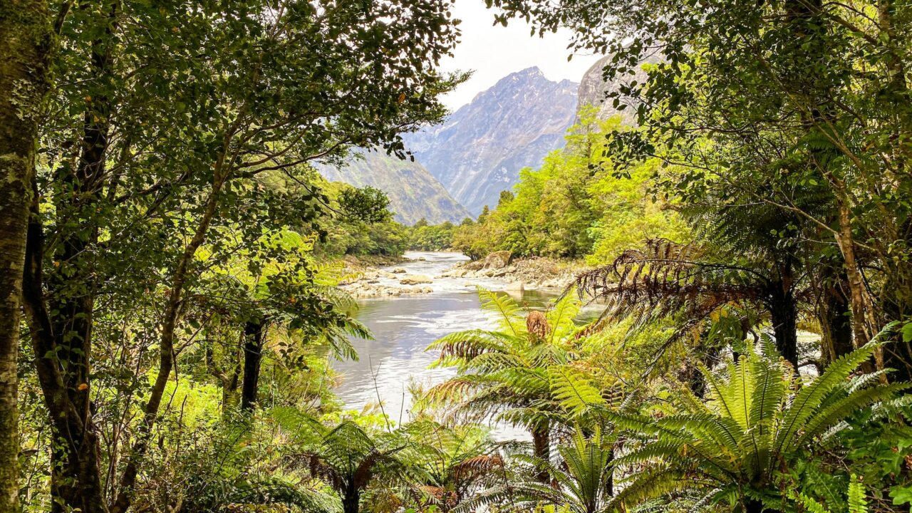 Miller track New Zealand