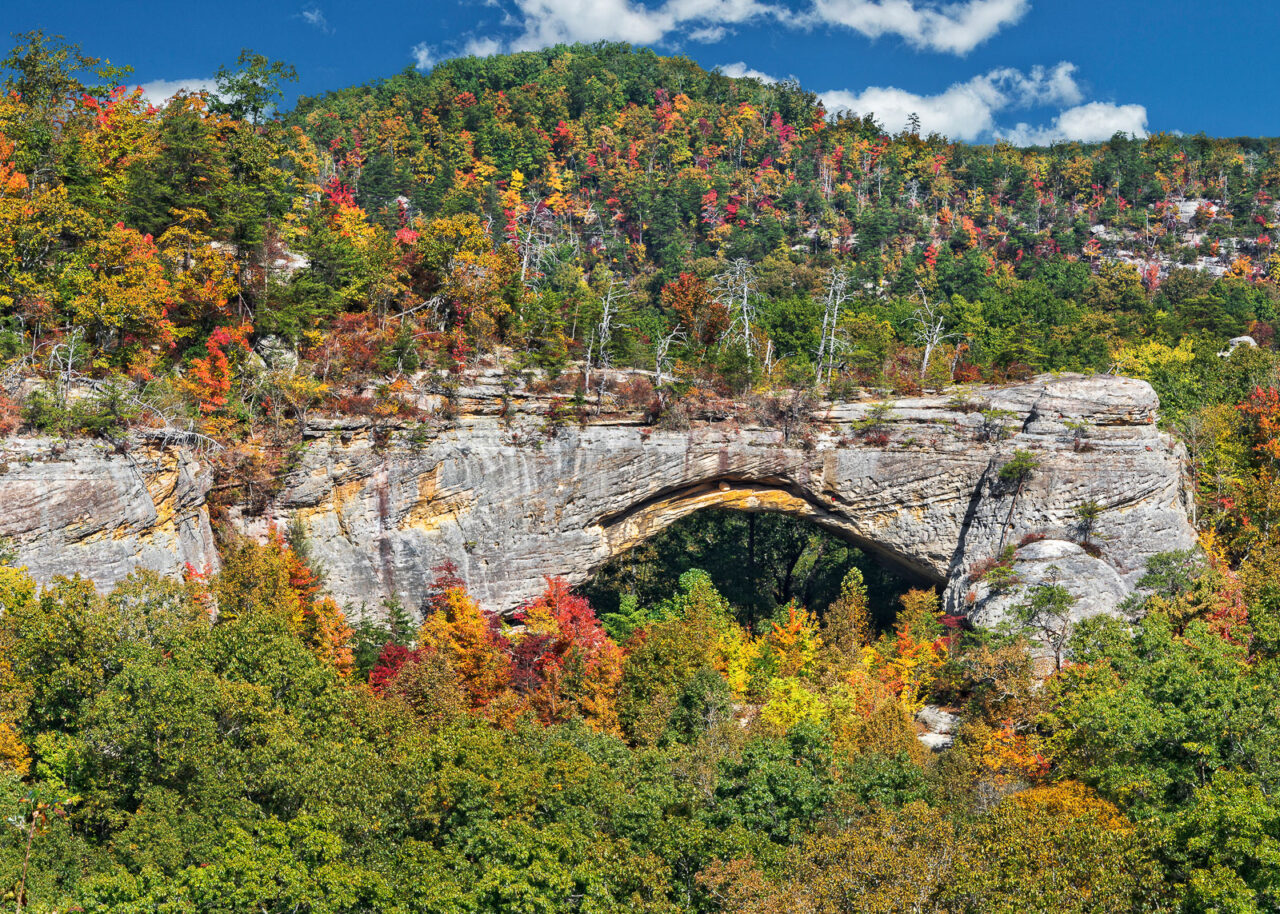 Daniel Boone National Forest