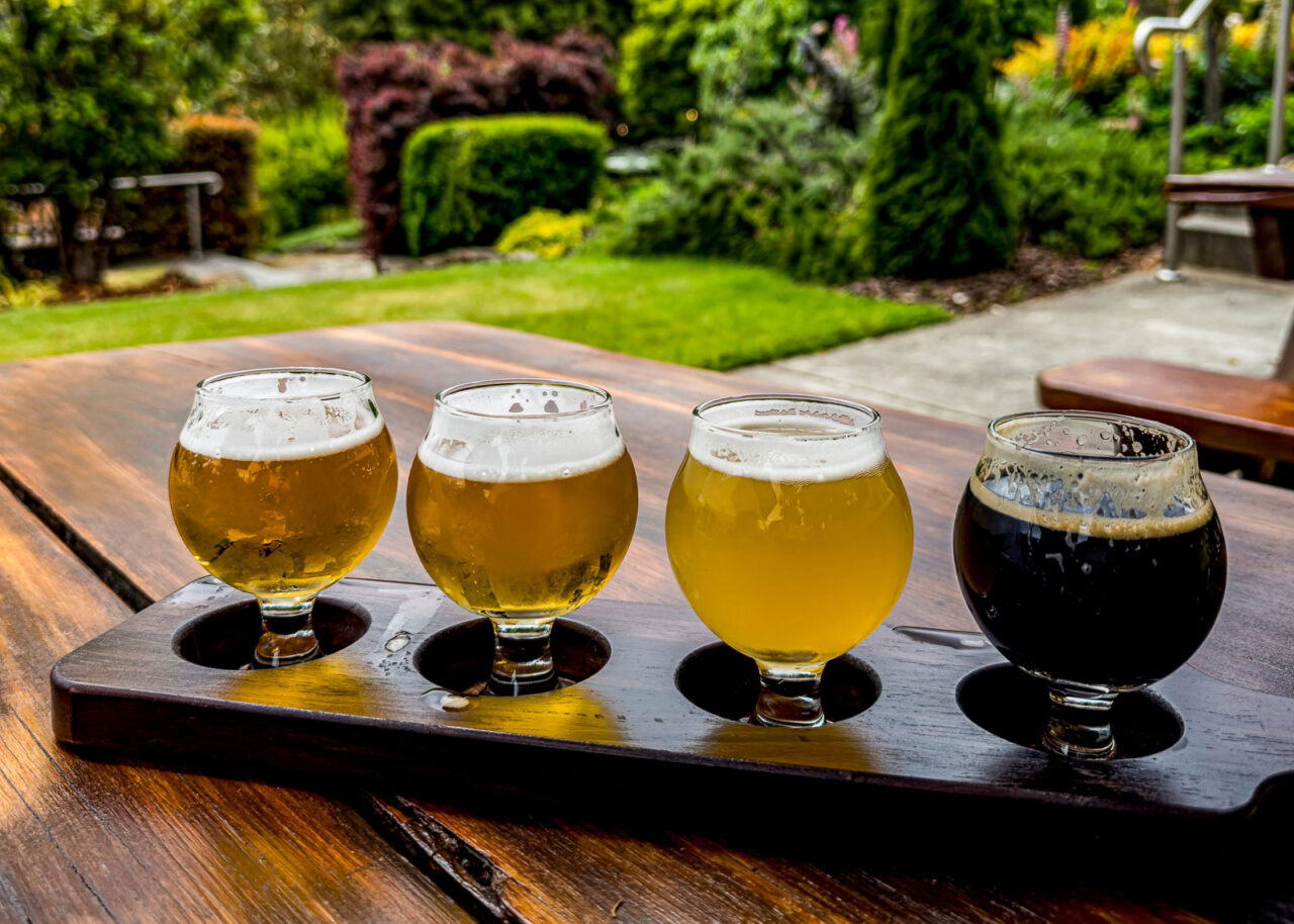 Flight of beer samples presented in a brewery in New Zealand.