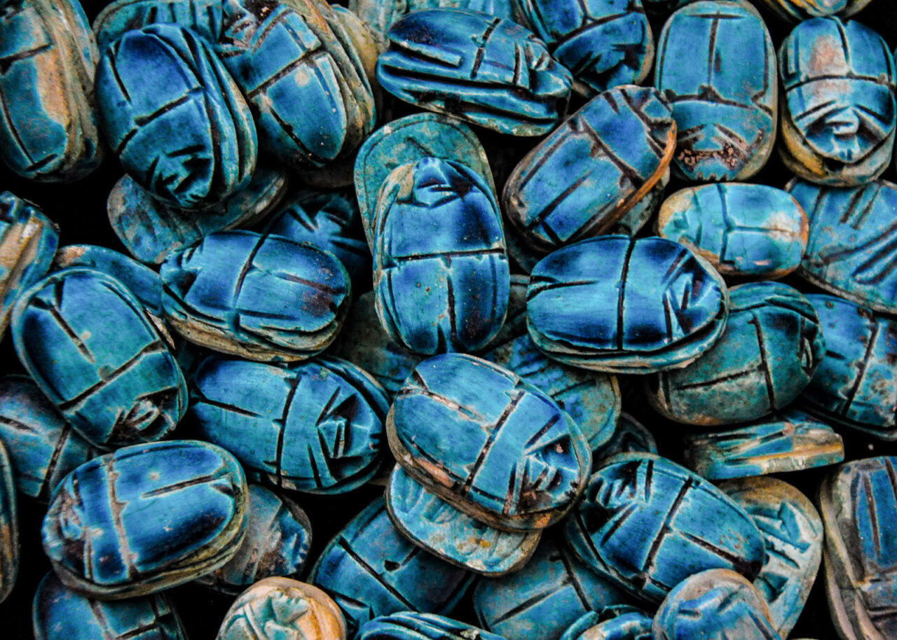 Blue scarab beetles