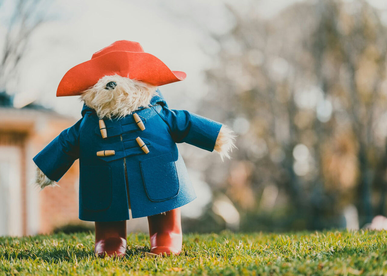Paddington Bear stuffed toy on a lawn