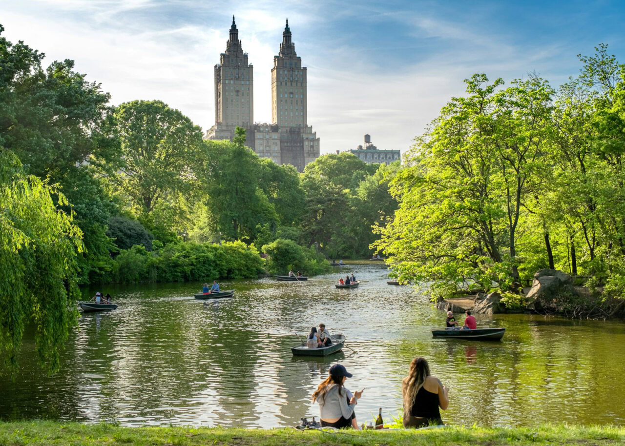 Row boats on the lake in Central Park in New York City