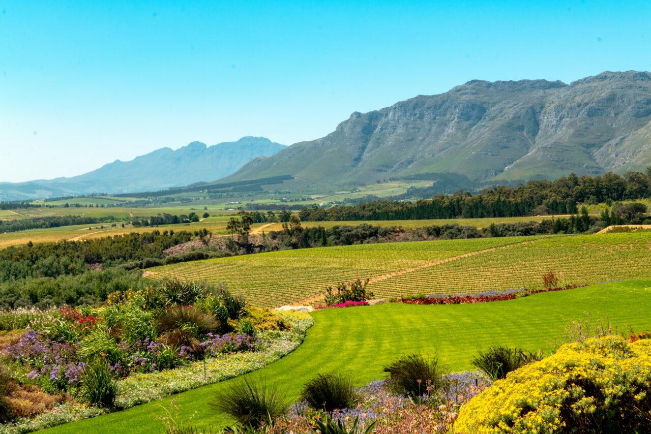 Green fields and mountains in Stellenbosch