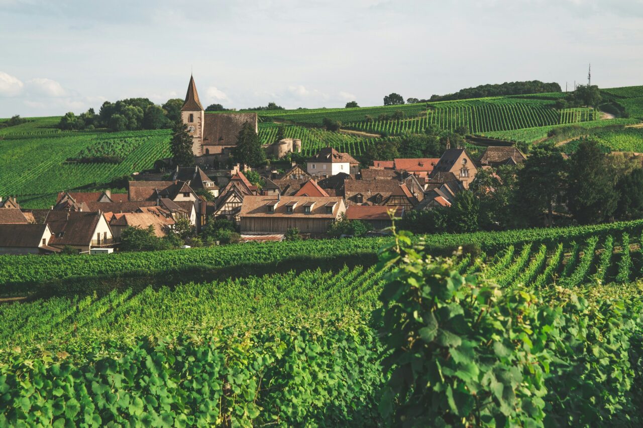 Village with green fields in Alsace, France