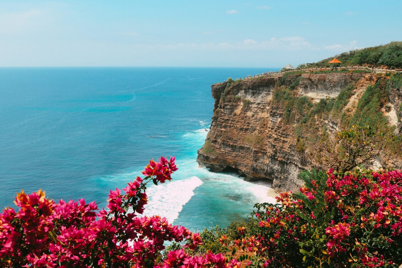 Pink flowers and cliffs in Uluwatu, Bali